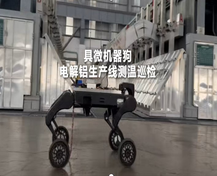 产品预览