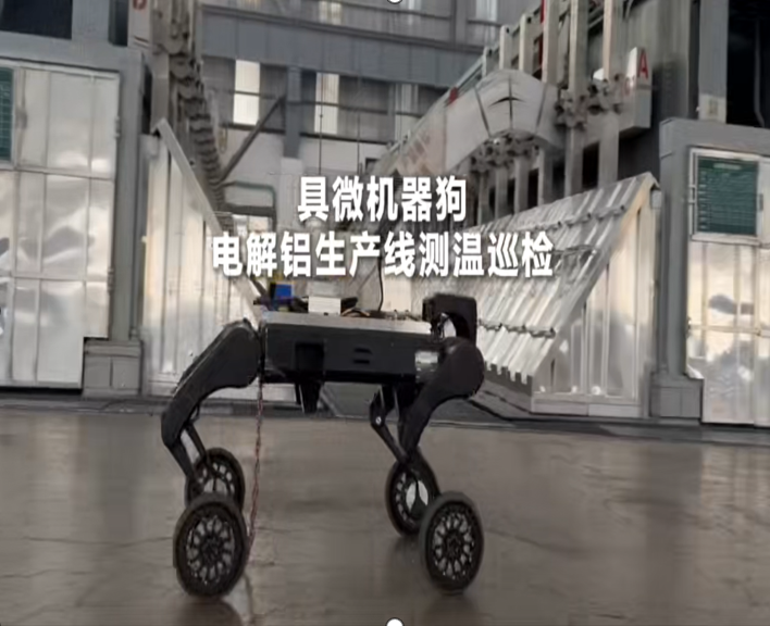 产品预览